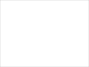 SANTIAGOWILD