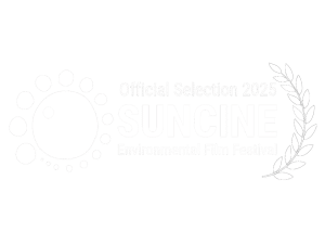 SUNCINE2025