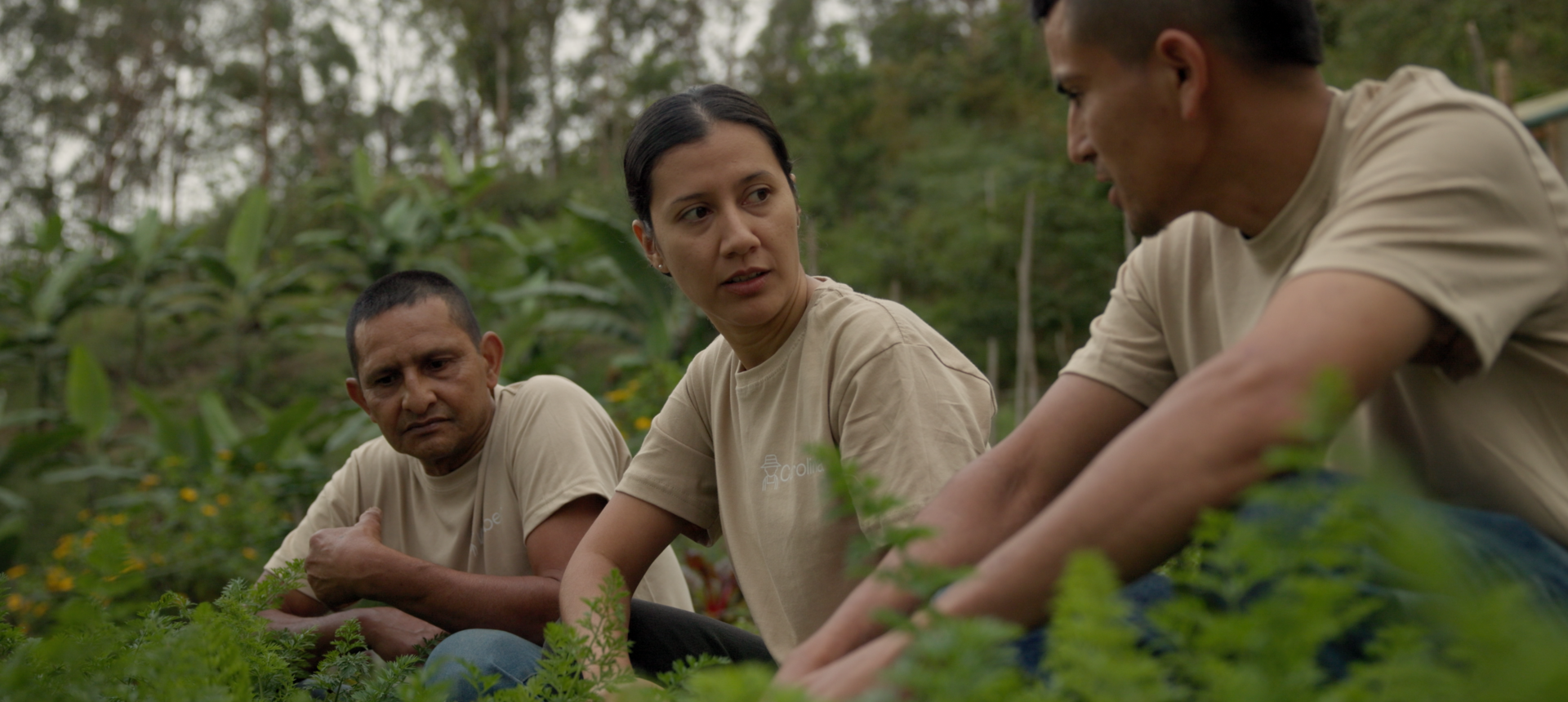 CosecharParaVivir_8 (1)